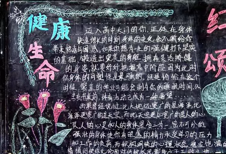 ȫڰ屨